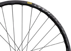 Delux 12 + Open Pro UST Disc + Sapim Race 28" Laufrad -Fahrradladen 210125