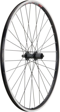 Urban Acera V-Brake DT Swiss 535 28" Laufradsatz -Fahrradladen 396798