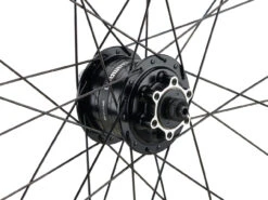 Mountain Alivio Disc 6-Loch DT Swiss 466d 29" Laufradsatz -Fahrradladen 399626