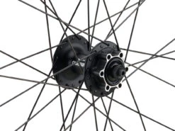 Mountain Alivio Disc 6-Loch DT Swiss 466d 29" Laufradsatz -Fahrradladen 399633