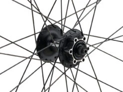 Urban Alivio Disc 6-Loch DT Swiss 466d 28" Laufradsatz -Fahrradladen 399647