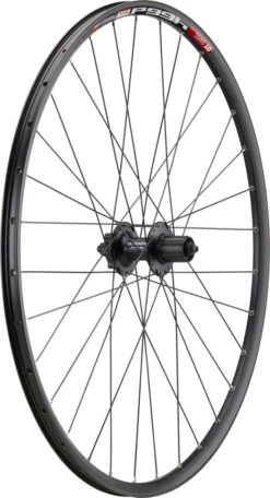 Urban Alivio Disc 6-Loch DT Swiss 466d 28" Laufradsatz -Fahrradladen 399648